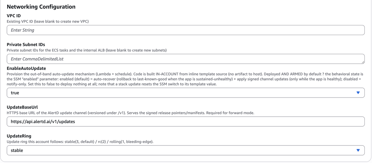 Networking Configuration showing VPC ID and Private Subnet IDs fields, followed by the auto-update parameters