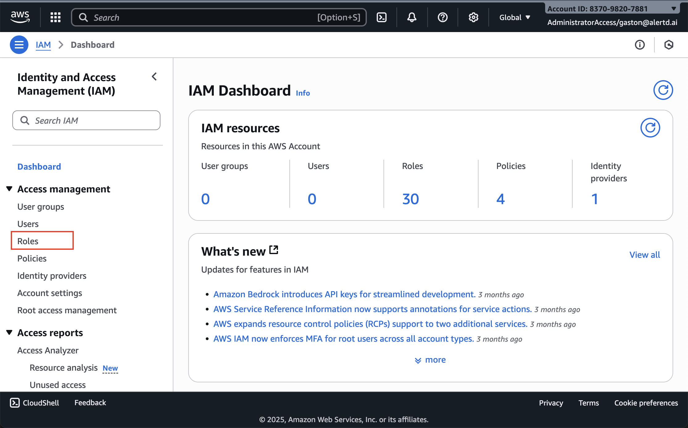 AWS IAM Dashboard showing Roles section