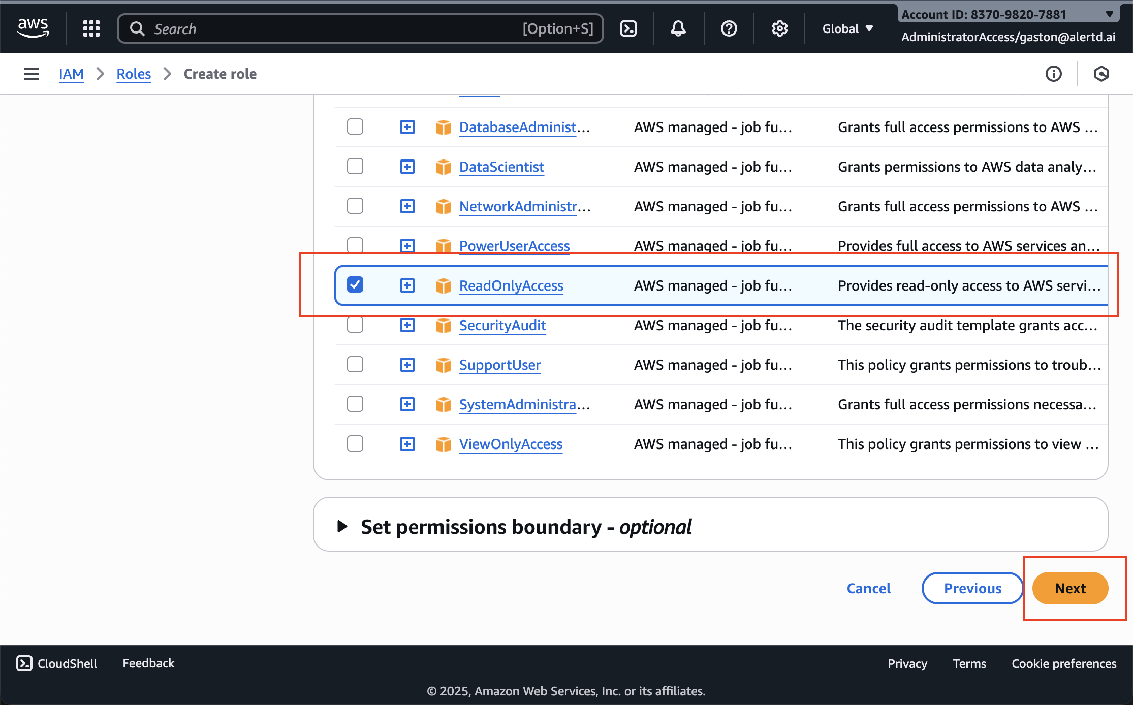 ReadOnlyAccess policy selected in the permissions list